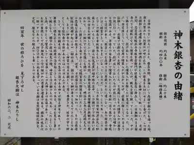 川巴良諏訪神社(富山県)