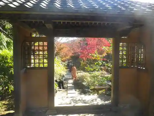 海蔵寺の山門