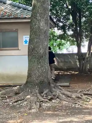 東村山八坂神社(東京都)