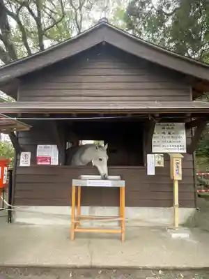 鹿児島神宮(鹿児島県)