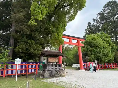 賀茂別雷神社（上賀茂神社）の{uncategorized: "未分類", other: "その他", undefined: "問題あり", building: "その他建物", grave: "お墓", sacred_gate: "鳥居", guardian: "狛犬", statue: "像", buddha: "仏像", history: "歴史", nature: "自然", garden: "庭園", animal: "動物", pagoda: "塔", temizu: "手水舎", mountain_gate: "山門・神門", sanctuary: "本殿・本堂", subordinate: "末社・摂社", art: "芸術", scenery: "景色", jizo: "地蔵", ema: "絵馬", goshuin: "御朱印", omikuji: "おみくじ", items: "授与品その他", amulet: "お守り", goshuincho: "御朱印帳", eats: "食事", festival: "お祭り", votive_dance: "神楽", shichigosan: "七五三参", wedding: "結婚式", experience: "体験その他", initially: "初詣", around: "周辺", anti_infection: "感染症対策"}