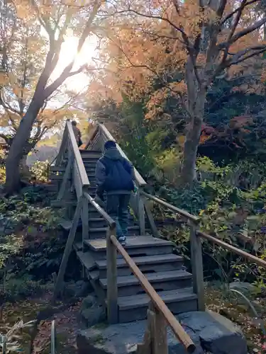 明月院(神奈川県)