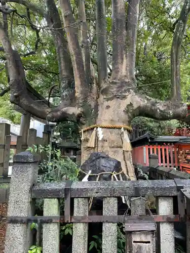 満足稲荷神社の自然