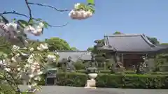 蓮華寺の建物その他