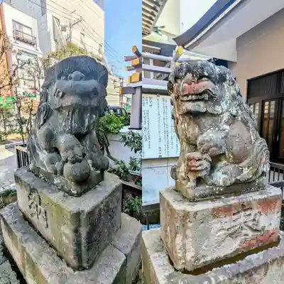 柏神社の狛犬