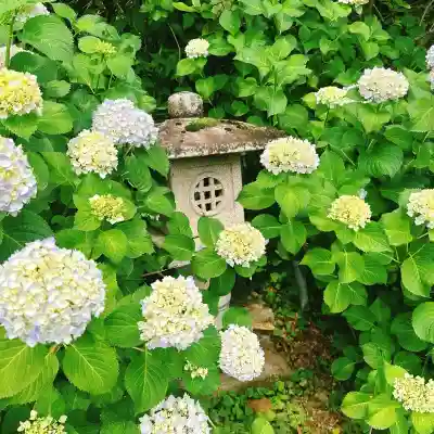 楽法寺（雨引観音）(茨城県)