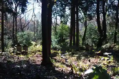 浄土寺(兵庫県)
