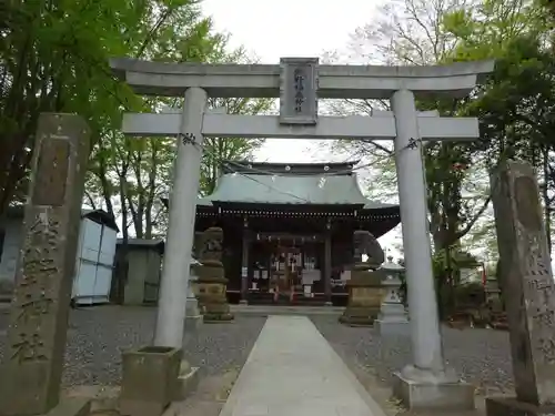 熊野福藏神社の鳥居