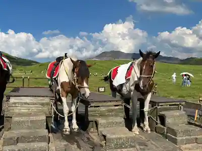 阿蘇神社(熊本県)