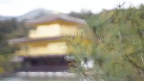 鹿苑寺（金閣寺）(京都府)