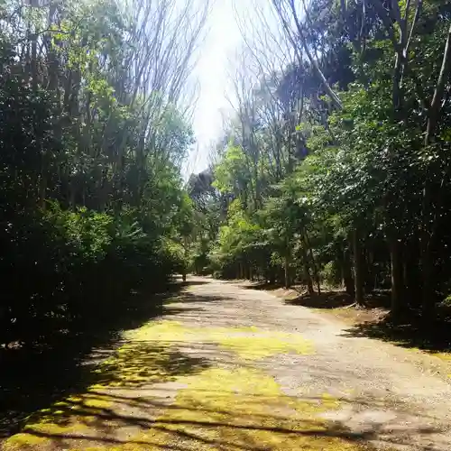 鹿島神宮の自然