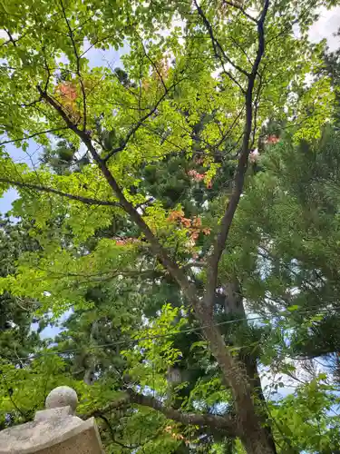 隠津島神社(福島県)