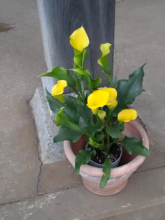 伏木香取神社(茨城県)