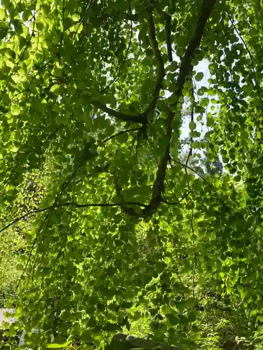 五所駒瀧神社(茨城県)