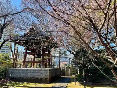 法明寺の{uncategorized: "未分類", other: "その他", undefined: "問題あり", building: "その他建物", grave: "お墓", sacred_gate: "鳥居", guardian: "狛犬", statue: "像", buddha: "仏像", history: "歴史", nature: "自然", garden: "庭園", animal: "動物", pagoda: "塔", temizu: "手水舎", mountain_gate: "山門・神門", sanctuary: "本殿・本堂", subordinate: "末社・摂社", art: "芸術", scenery: "景色", jizo: "地蔵", ema: "絵馬", goshuin: "御朱印", omikuji: "おみくじ", items: "授与品その他", amulet: "お守り", goshuincho: "御朱印帳", eats: "食事", festival: "お祭り", votive_dance: "神楽", shichigosan: "七五三参", wedding: "結婚式", experience: "体験その他", initially: "初詣", around: "周辺", anti_infection: "感染症対策"}
