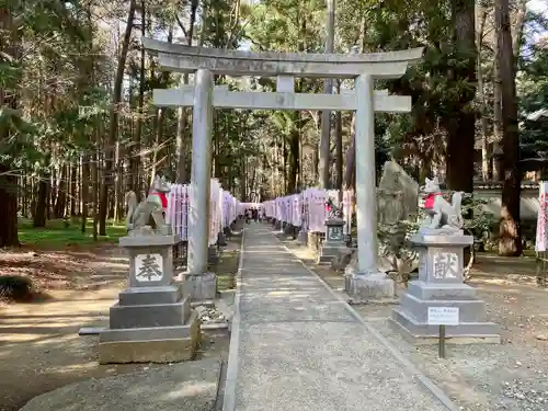 豊川閣　妙厳寺の鳥居