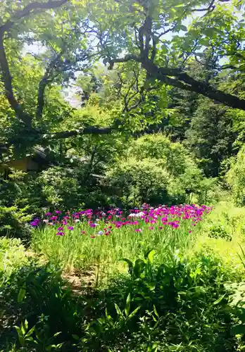 東慶寺の庭園