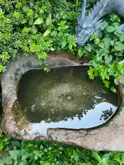 江島神社の手水