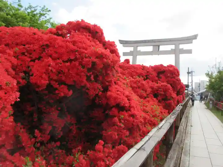長岡天満宮の自然