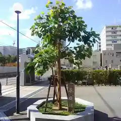 雲雷寺の自然