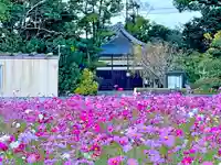 夜夫多神社の本殿・本堂
