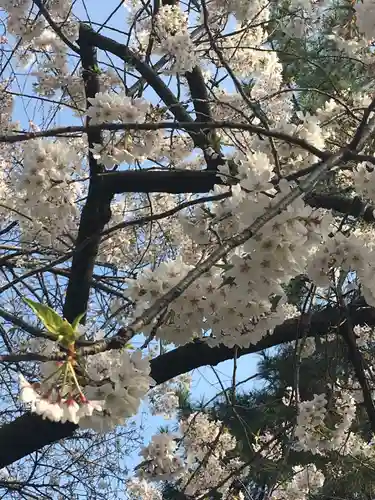 豊川稲荷東京別院の自然