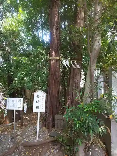 座間神社の自然