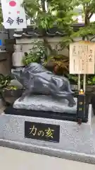 摩利支天 徳大寺の狛犬