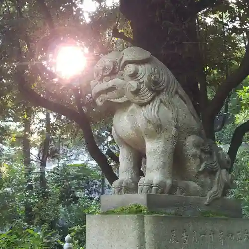 赤坂氷川神社の狛犬