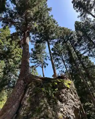 八海山坂本神社(新潟県)
