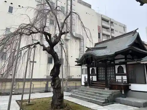 蓮香院(宮城県)