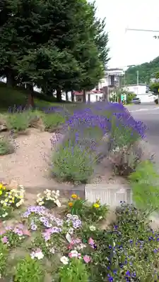札幌南沢神社の周辺