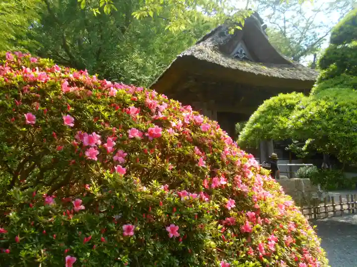 報国寺のその他建物