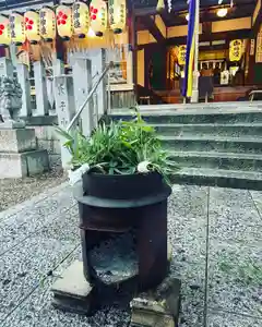阿保神社(大阪府)(2023年10月09日(月) 13時40分31秒投稿)