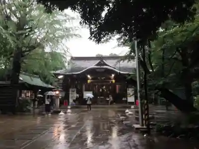 渋谷氷川神社の本殿・本堂