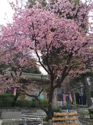 五條天神社の自然