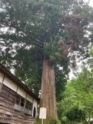 妙厳寺のその他建物