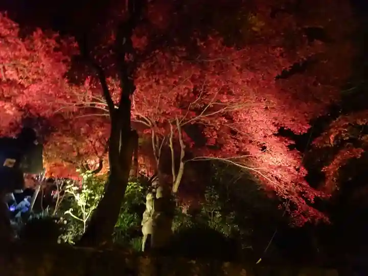 大山寺(神奈川県)