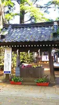 麻賀多神社の手水舎