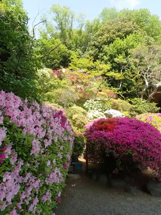 等覚院の御朱印
