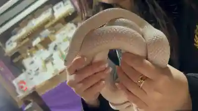 九重白蛇参拝所 龍昇院(大分県)