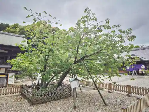 上地八幡宮の庭園