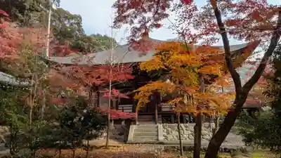 栖賢寺(京都府)
