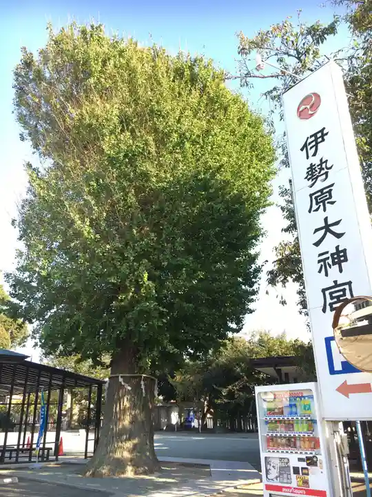 伊勢原大神宮の自然