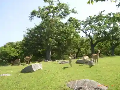 金華山黄金山神社(宮城県)