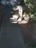 普門院の動物