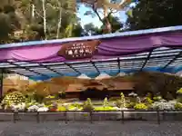 彌彦神社(新潟県)