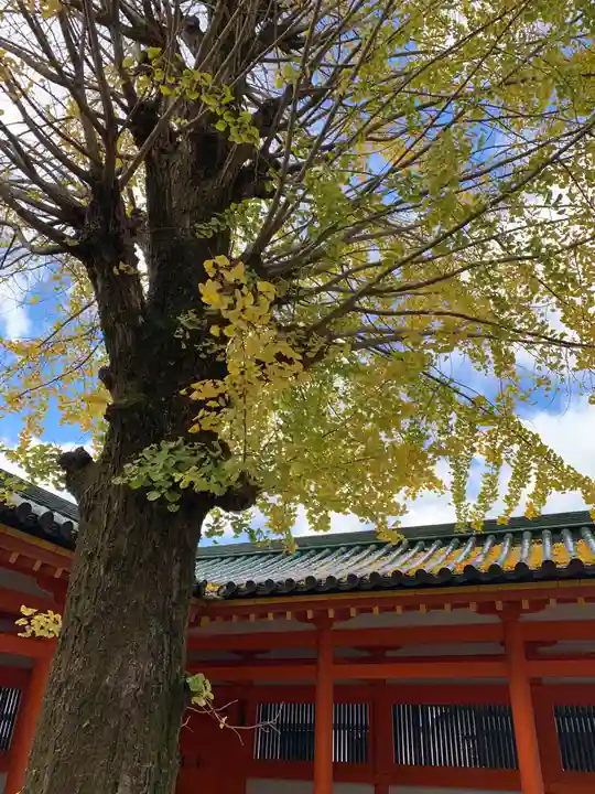 平安神宮の自然