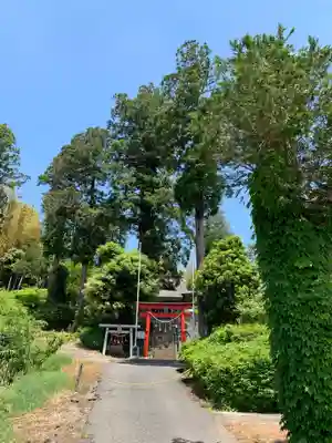 妙見神社の鳥居