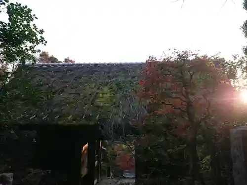 杉本寺のその他建物